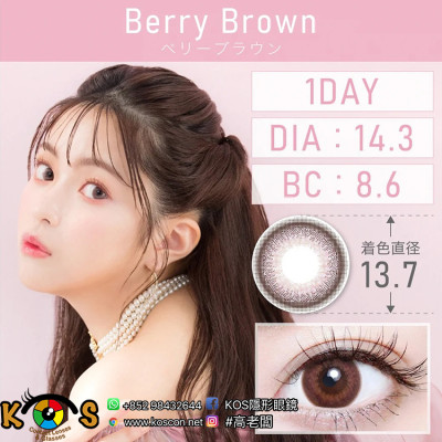 TeAmo 1Day Berry Brown ティアモ ワンデー ベリーブラウン TeAmo 1Day Berry Brown ティアモ ワンデー ベリーブラウン